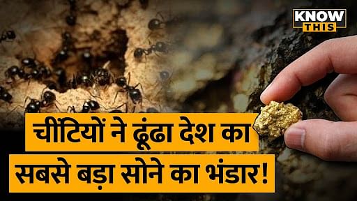 KNOW THIS: Bihar में मिला देश का सबसे बड़ा स्वर्ण भंडार, जानिए चीटियों ने कैसे लगाया पता?
